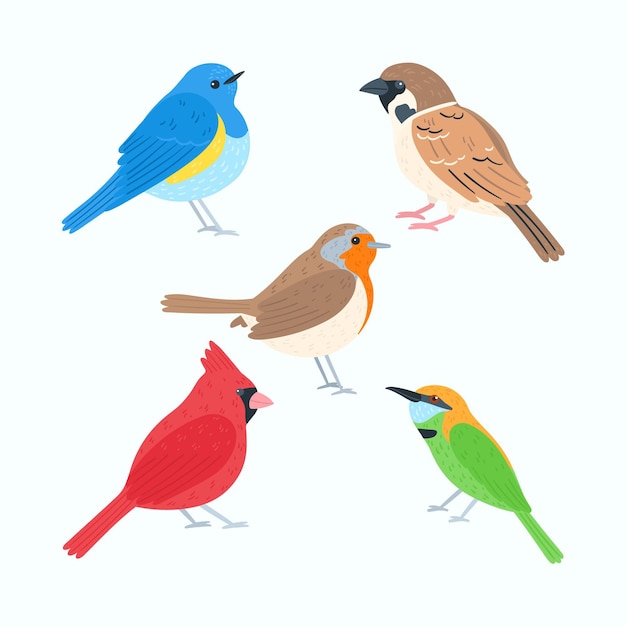 Gratis Vector hand getekend vogel collectie