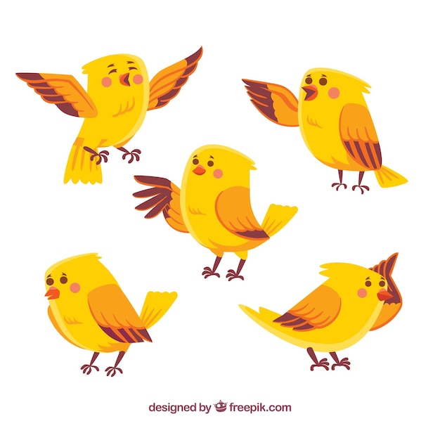 Gratis Vector hand getrokken vogelcollectie in geel