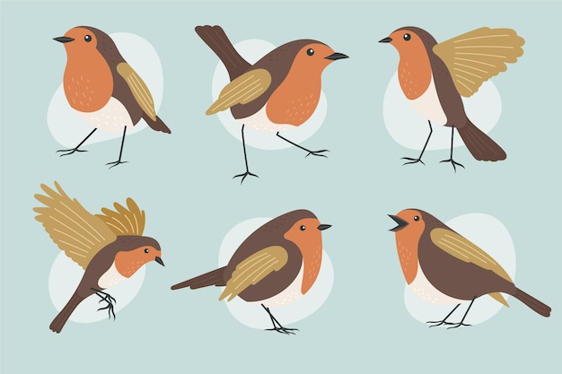 Gratis Vector handgetekende robin-collectie