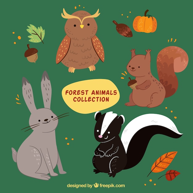 Gratis Vector het verzamelen van mooie dieren in het bos met de herfst elementen