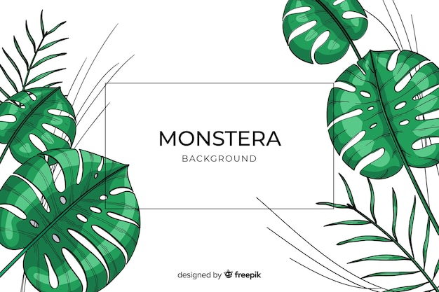 Monstera vertrekt