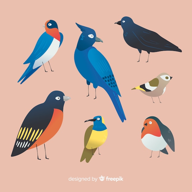 Gratis Vector pack van hand getrokken vogels