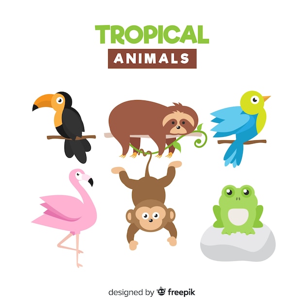 Gratis Vector platte verzameling van exotische dieren