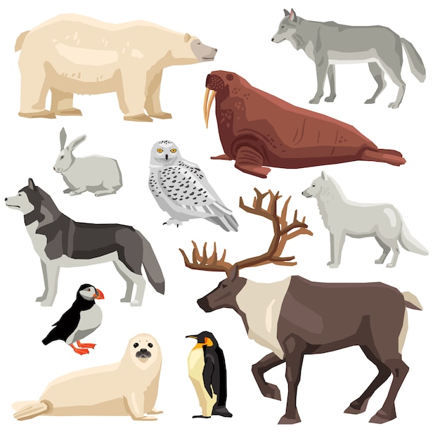 Gratis Vector polar animals set