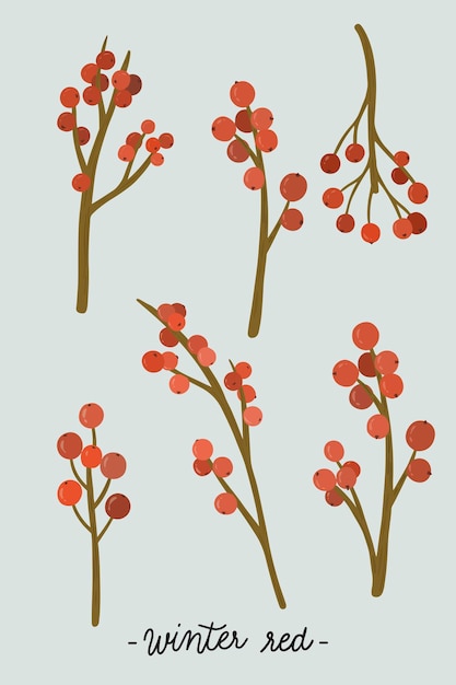 Gratis Vector rode winterberry ornament collectie vector