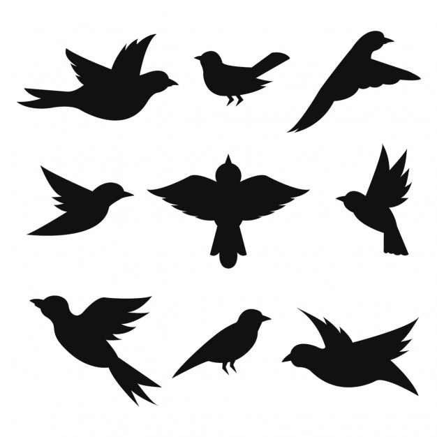 Gratis Vector vogels silhouetten collectie