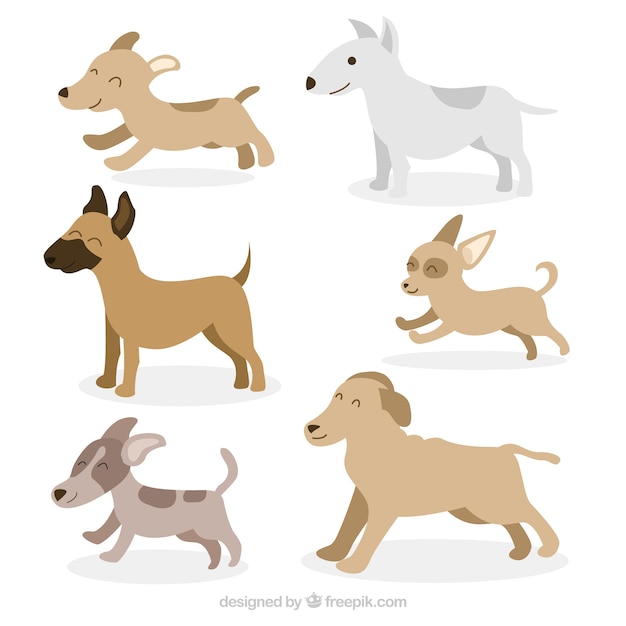 Gratis Vector zes profiel honden in plat design