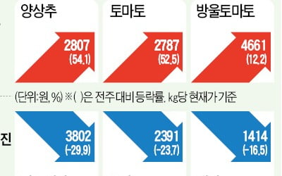 토마토값 고공행진…작황 부진에 물량 '뚝'