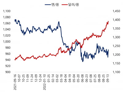 외화 현금보유 vs 통장예치…더 유리한 환테크 전략은?