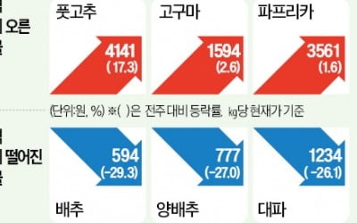 "올해 김장 배추 걱정 줄었네"…호남산 출하 앞두고 가격 뚝