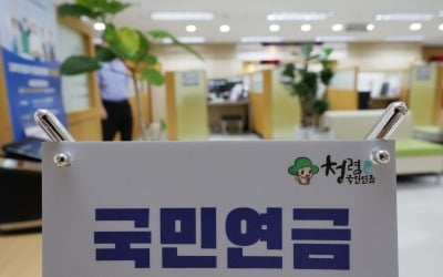 자국시장 키우는 테마섹…국내 ETF도 못 사는 韓 국민연금