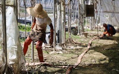 외국인 고용 사업장 두 곳 중 한 곳은 "노동법 위반"