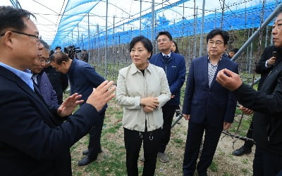 "의전은 딱 질색하세요"…공무원 '초긴장' 시키는 장관 [관가 포커스]