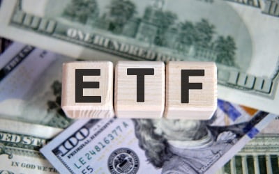 "내 ETF 안에 3배 레버리지 ETF가"…숨은 수수료 '주의'