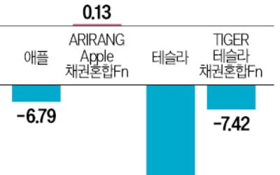 애플·테슬라 더 떨어질까 걱정?…단일종목 ETF로 방패 챙긴다