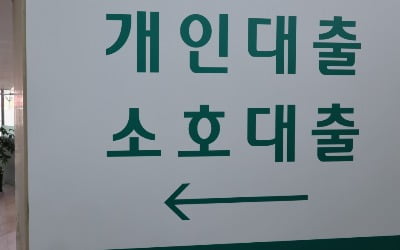 2030, '영끌'로 아파트 산 줄 알았더니…놀라운 통계 [심형석의 부동산정석]