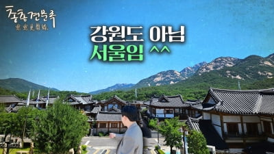 서울에서 요산요수😎 이런 곳에 살고 싶다 | 총총견문록