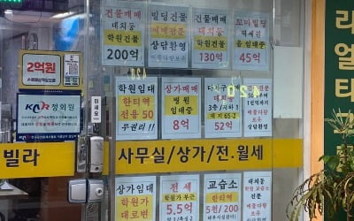 "月 300만원짜리 방도 없어서 못 구해요"…학생들 '한숨' [대치동 이야기 ⑰]