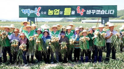 경북 농업대전환 대박... ha당 소득 700만원에서 1400만원으로