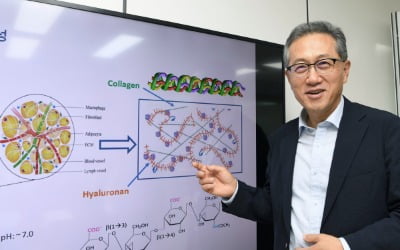 "새 바이오시밀러 국내 품목허가 신청"…알테오젠 쓸어담는 고수들