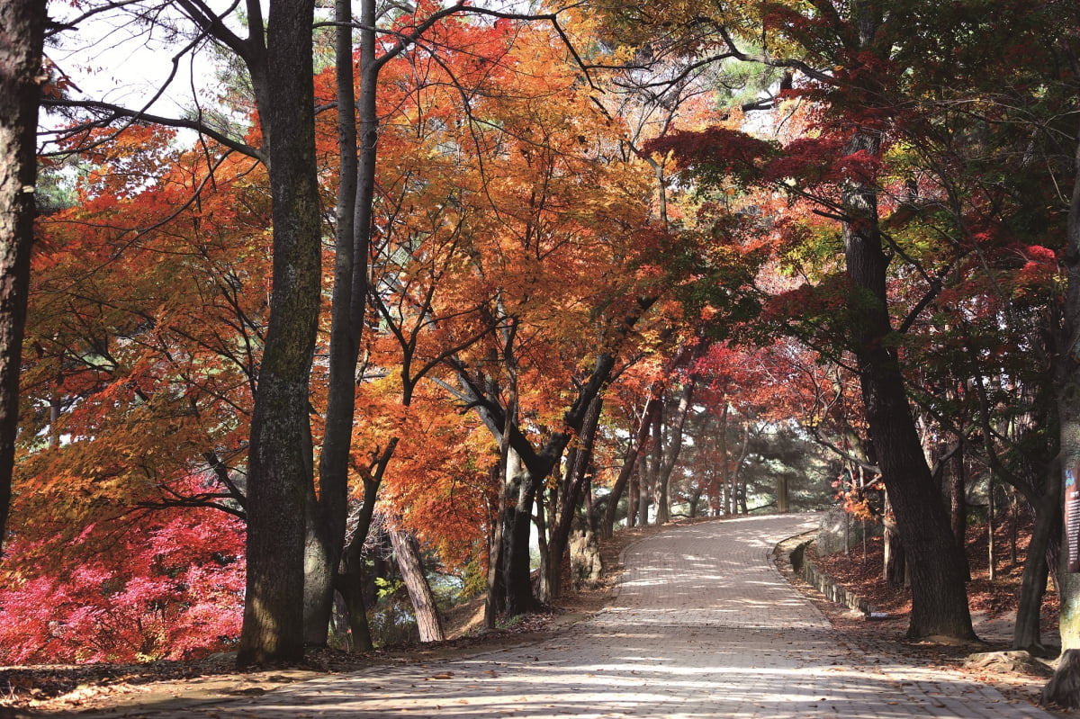 유네스코 세계유산 백제역사유적지구인 부소산성. 사진=부여군