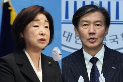 "정의당처럼 삭제시키자"…조국혁신당에 뿔난 개딸들