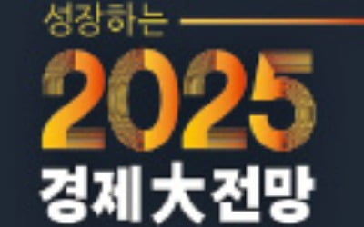 [주목! 이 책] 성장하는 2025 경제대전망