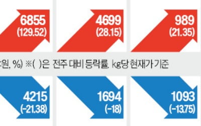 김장철까지 배추 값 고공행진 이어진다