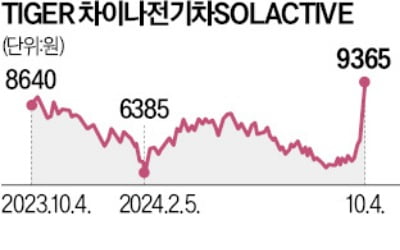 '중학개미 아픈 손가락' 中전기차 ETF, 한달새 40% 급등