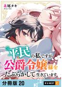 平民の私ですが公爵令嬢様をたぶらかして生きています 【分冊版】 20