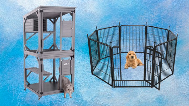 Popular pet enclosures from Amazon