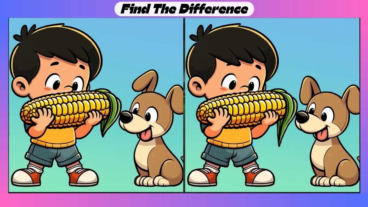 Spot 3 Differences Between Maize Eating Pictures in 55 Seconds