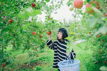 この秋は都会を抜け出し大自然へ！滝のパワーとりんごの香りで心も体も癒される♡魅惑の茨城・大子町トリップ！