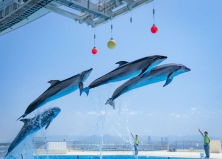 【福岡】九州を代表する水族館「マリンワールド海の中道」でペンギンやラッコに会いに行こう♪