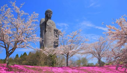 【茨城】尊い、デカい、ちょいカワイイ♪　心を鷲づかみにされる牛久大仏