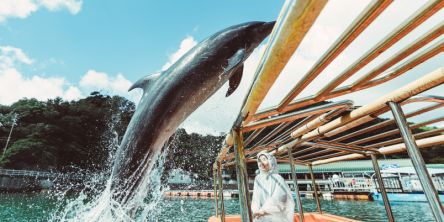 【下田海中水族館】イルカとふれあえる！ショーやグルメ、ショップまで、みどころを一挙紹介