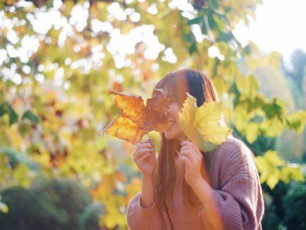 これから見頃！都内おすすめ紅葉スポット・新宿御苑【もろんのんがフォトグラファー目線で切り取る景色vol.8】