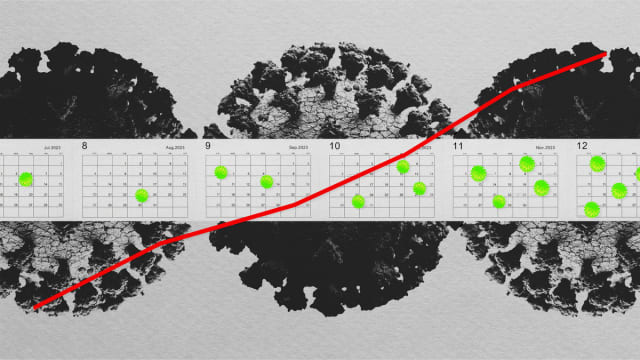 A photo illustration showing monthly 2023 calendars with a red surge line and covid viruses.