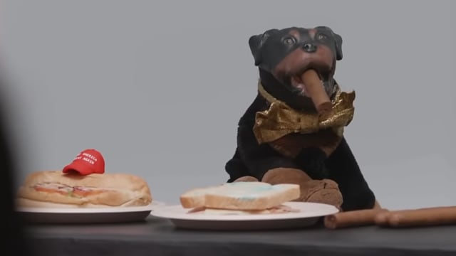 Triumph the Insult Comic Dog.