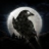 NIGHT CROWS icon