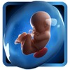 PregApp icon