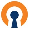 Icône OpenVPN