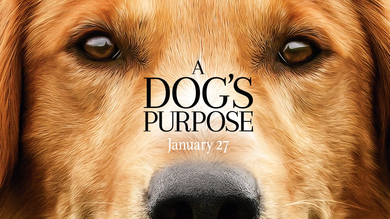 A Dog's Purpose - Official Trailer (HD) - YouTube