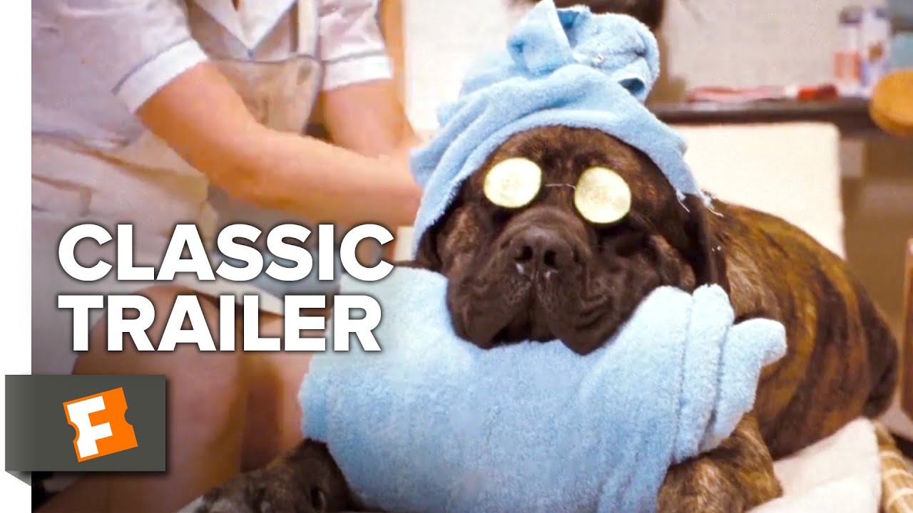 Hotel for Dogs (2009) Trailer #1 | Movieclips Classic Trailers - YouTube