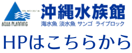 沖縄水族館の HPはこちら 