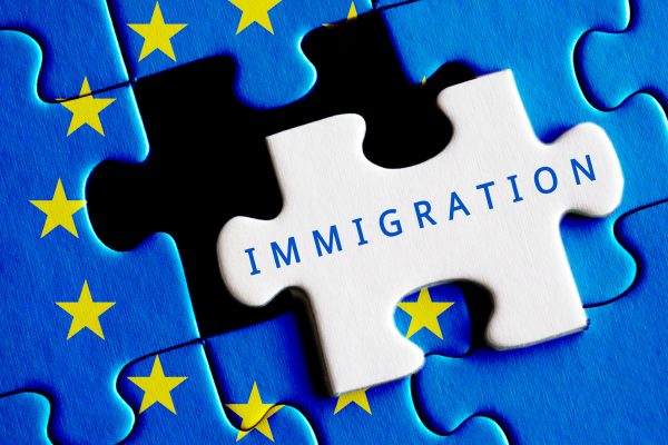 The image depicts a puzzle with one piece standing out, labelled "IMMIGRATION," against the rest of the puzzle patterned with the European Union flag's blue background and yellow stars.