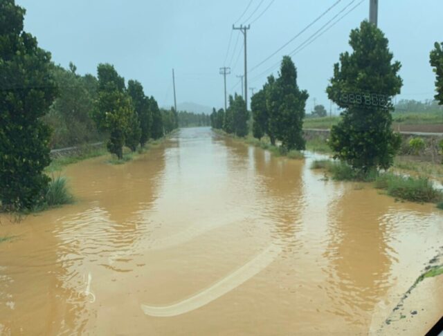 台風6448