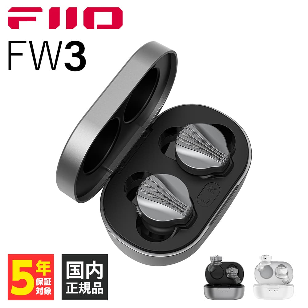 FiiO 完全ワイヤレスイヤホン FW3 FIO-FW3-DG Dark Gray イヤホン本体の商品画像