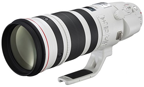 キヤノン EFレンズ EF200-400mm F4L IS USM エクステンダー 1.4× 交換レンズの商品画像