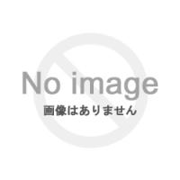 FiiO FW5日本国内正規品ワイヤレスイヤホン ハイブリッドドライバー IPX4 防水 bluetooth AK4332 QCC5141 | 那覇ストア